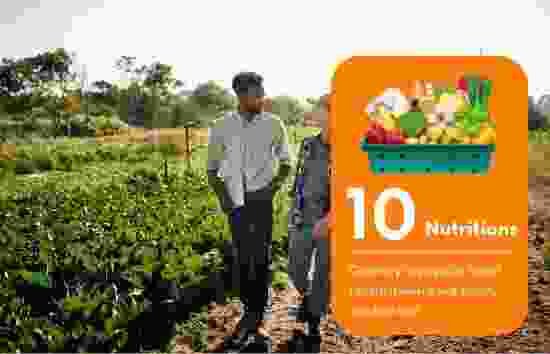 Freshvally