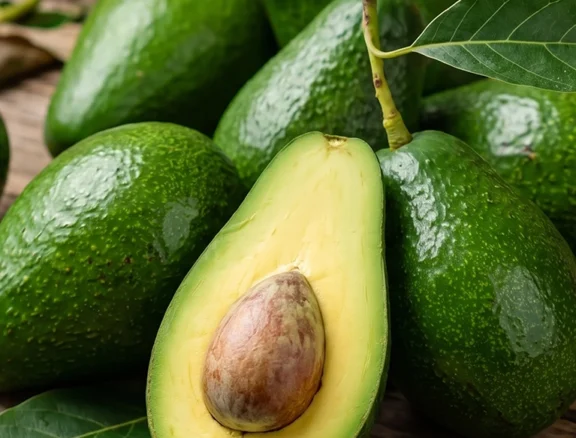 Palta Fuerte