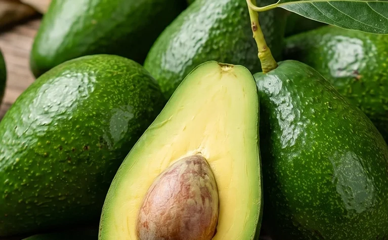 Palta Fuerte