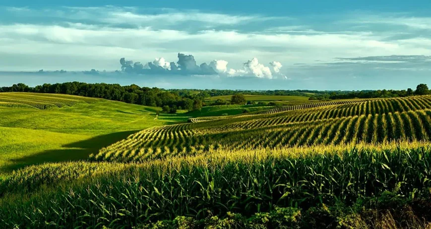 We grow fresh, organic produce using clean methods that protect nature, healthy food.