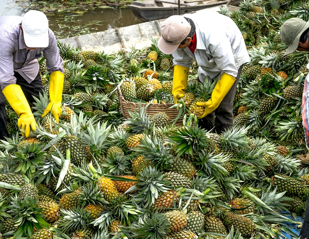 Organic farms avoid toxic inputs, improve soil health, grow clean, sustainable food that supports nature.