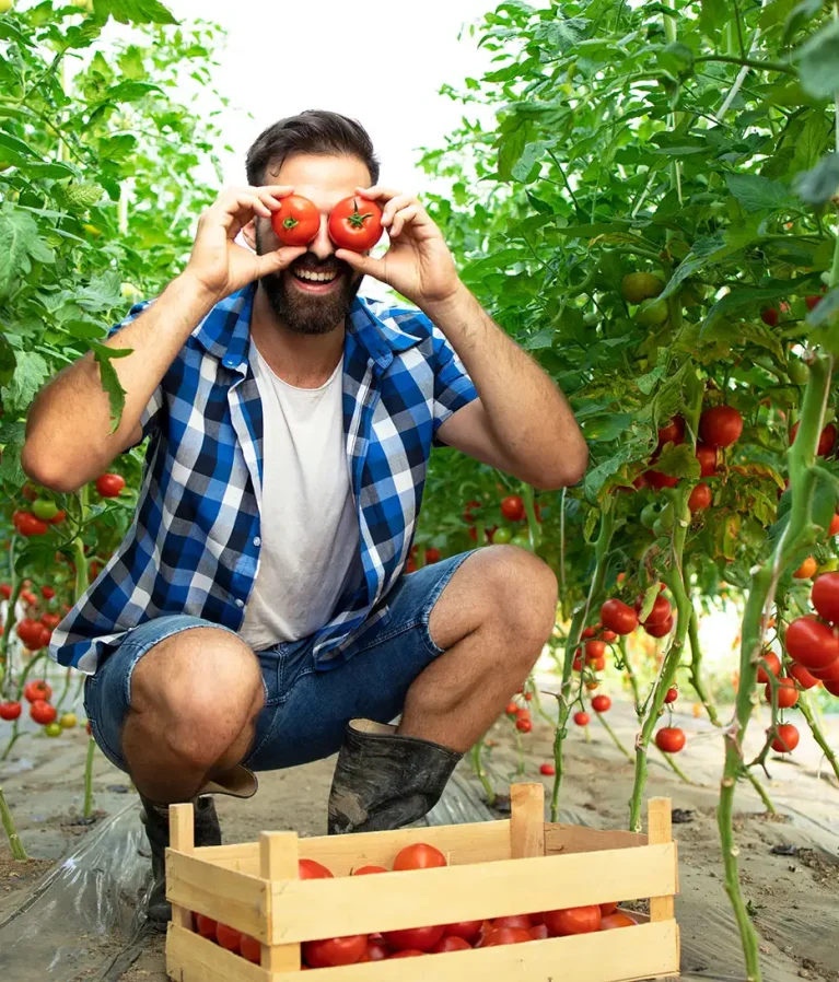 We grow fresh, organic produce using clean methods that protect nature, healthy food.