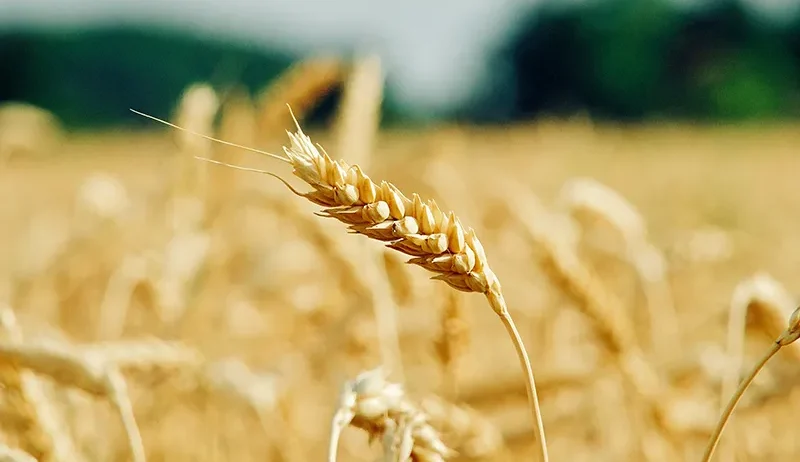 There are many variations of passages of Lorem Ipsum available, but majority have suffered teration in some form, by injected humour, or randomised words which don't look even slight believable. If you are going to use a passage of Lorem Ipsum.